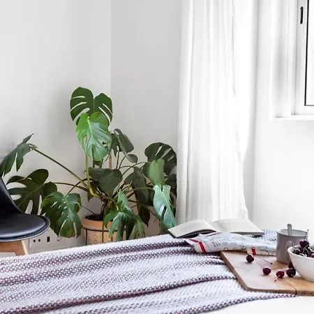Apartament Plum Guide - Amajito